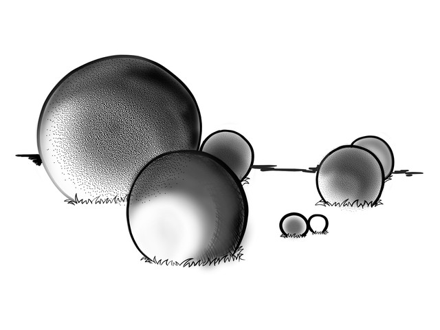 Stone Spheres of Costa Rica